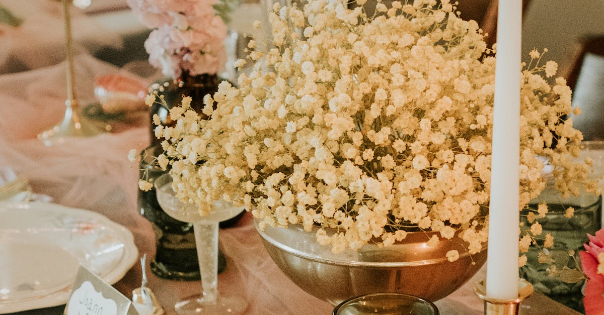 Customising Flavours in Your Plated Wedding Menu