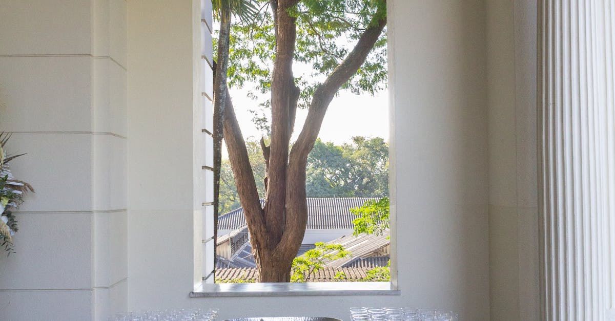 The Role of Presentation in Plated Wedding Catering